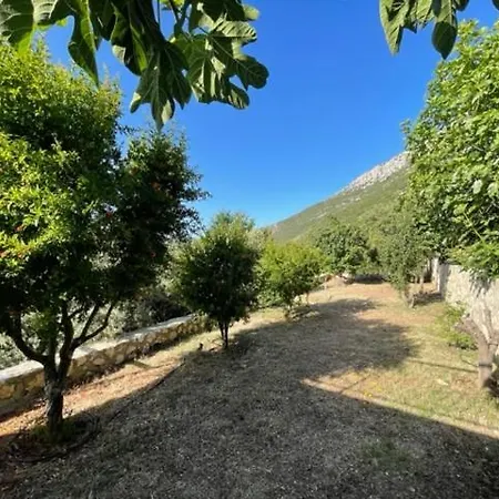 Bezirgan Kalkan Villa